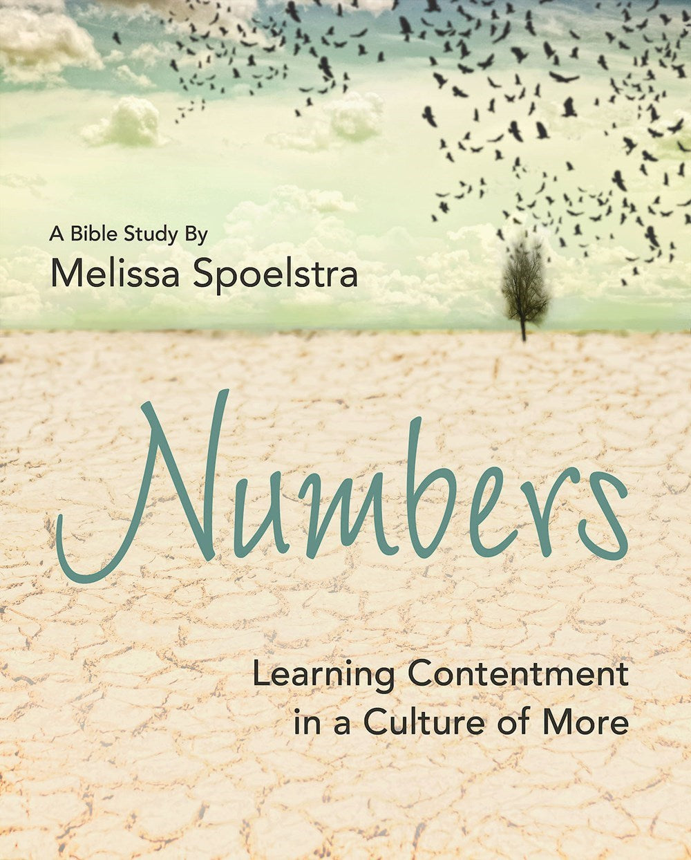 Numbers: Women's Bible Study Participant Workbook