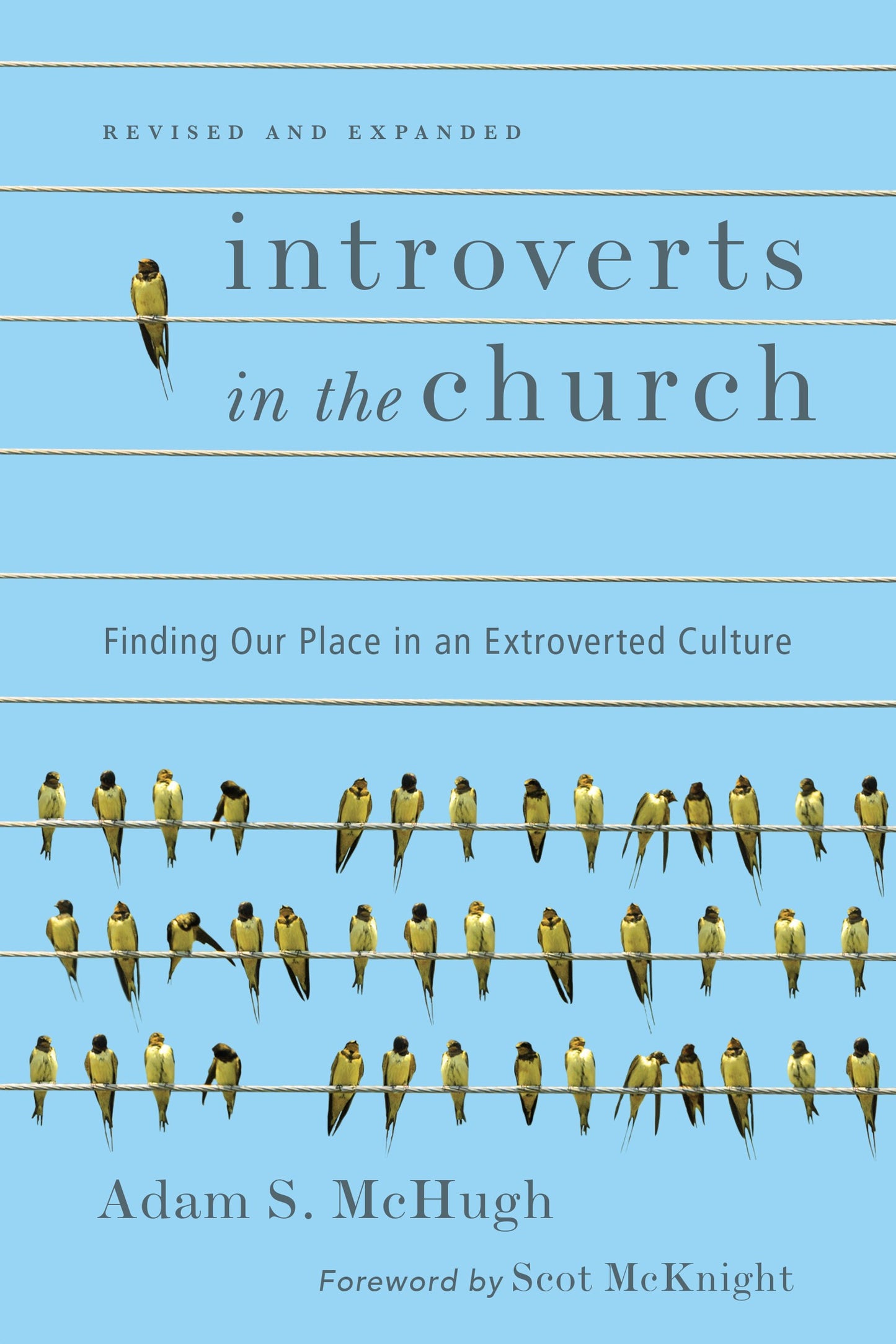 Introverts In The Church (Revised And Expanded)