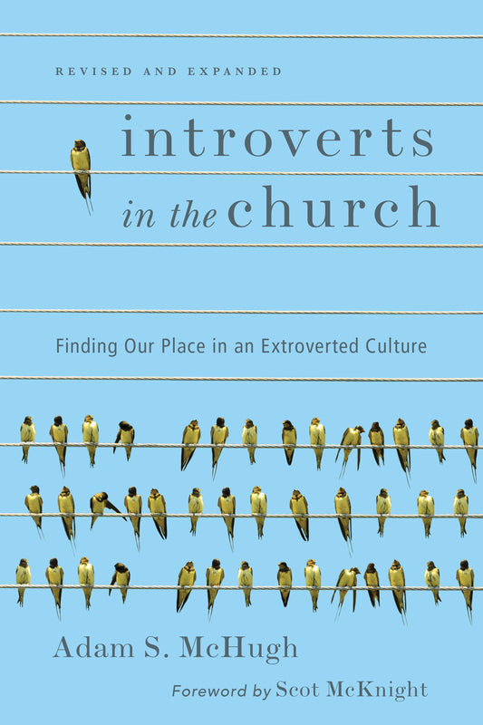 Introverts In The Church (Revised And Expanded)