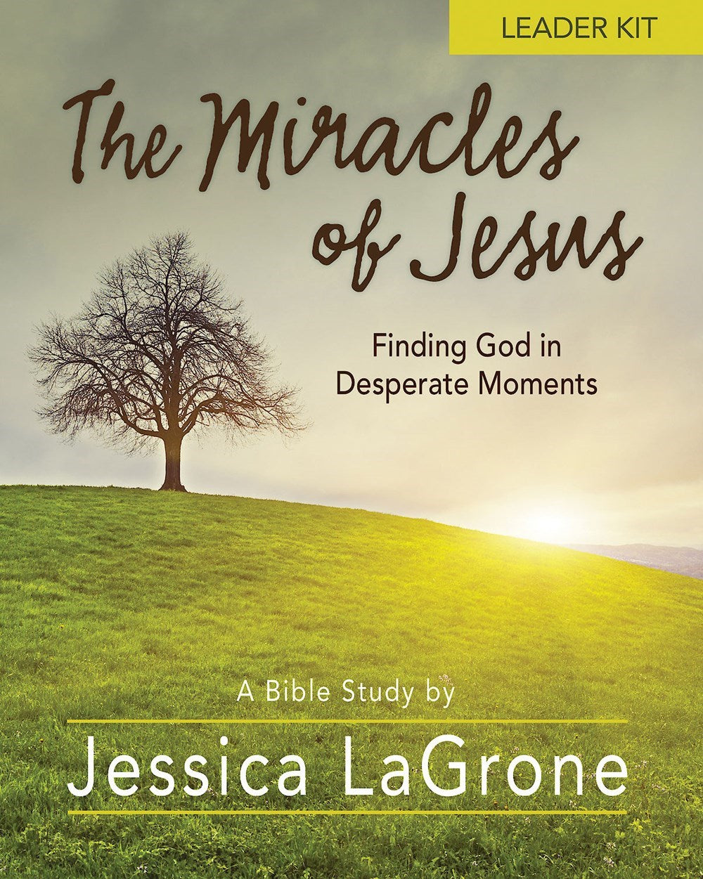 The Miracles Of Jesus Leader Kit
