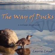 Way Of Ducks  The