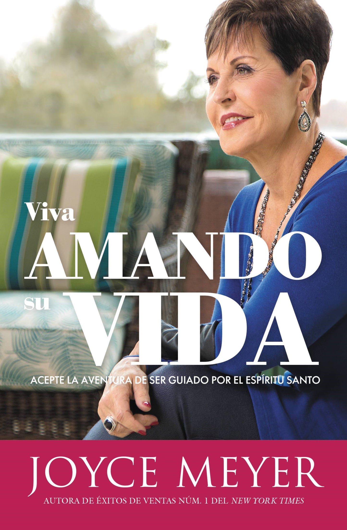 Viva Una Vida Que Ame (Living A Life You Love)