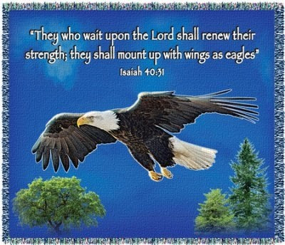 Throw Blanket-On Eagles Wings (Isaiah 40:31) (50" x 60")-Blue Chenille (#32157)