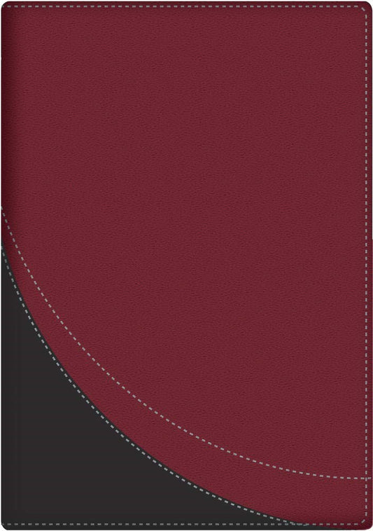 RVR 1960 La Biblia en Orden Cronologico (Daily Bible In Chronological Order)-Red/Grey DuoTone