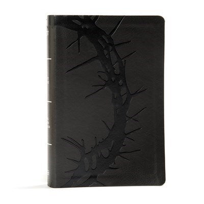 KJV Large Print Personal Size Reference Bible-Charcoal LeatherTouch Indexed