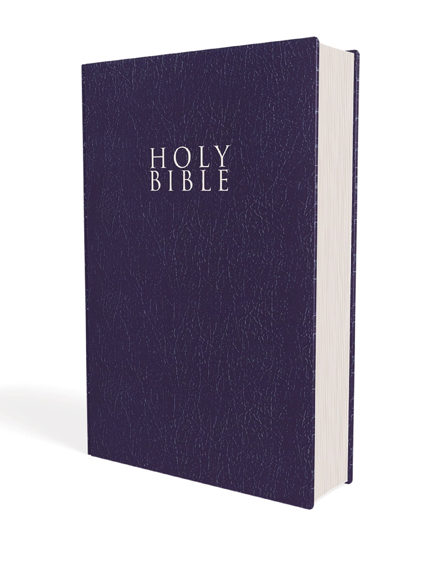 NIV Gift & Award Bible (Comfort Print)-Blue Leather-Look