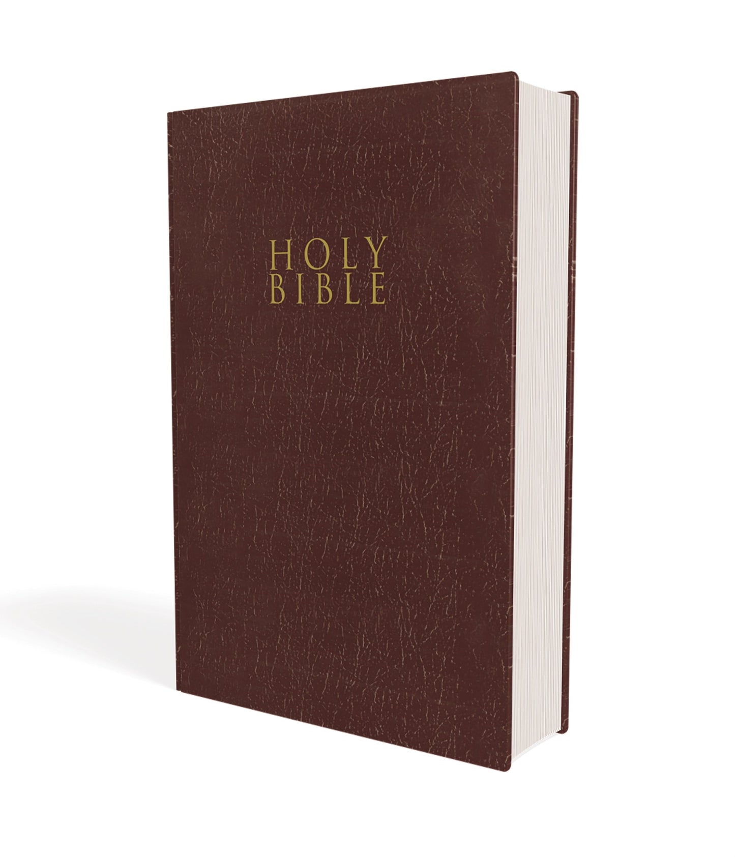 NIV Gift & Award Bible (Comfort Print)-Burgundy Leather-Look