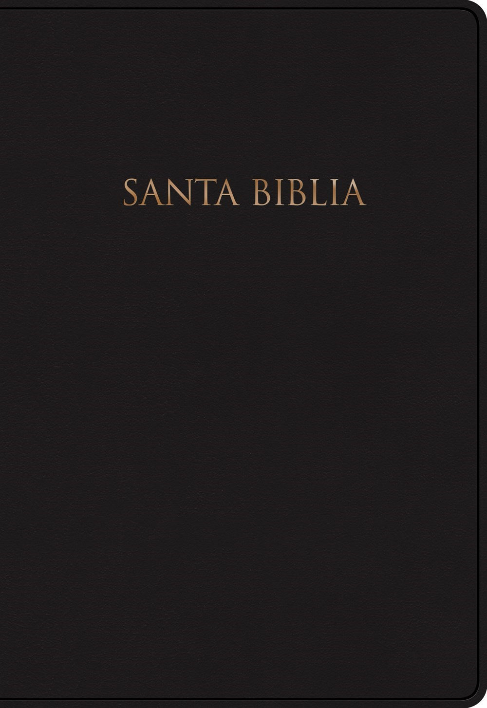 Span-NIV Gift And Award Bible (Biblia Para Regalos Y Premios)-Black Hardcover