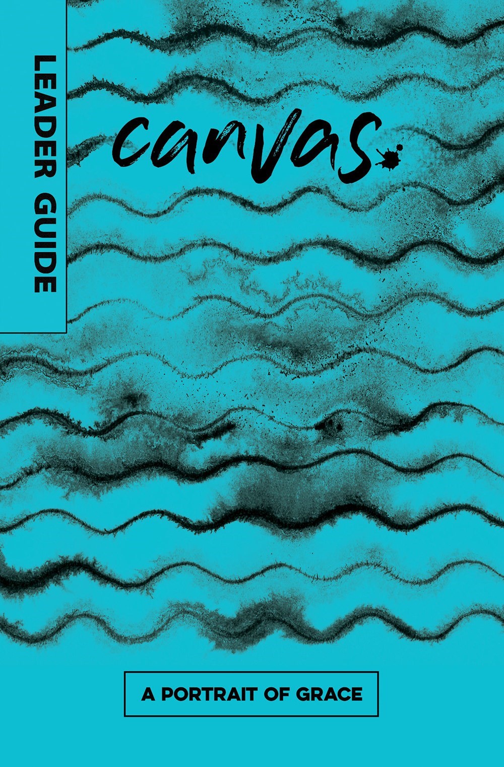 Canvas: A Portrait Of Grace Leader Guide