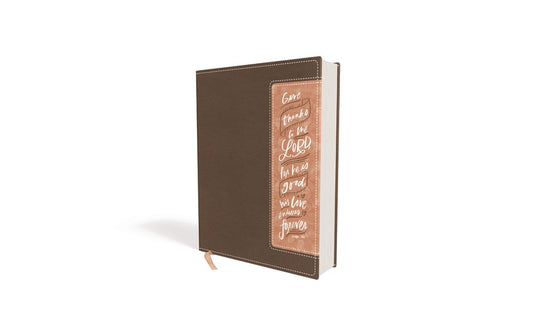 NIV Beautiful Word Bible (Updated Edition)-Brown/Blush Leathersoft