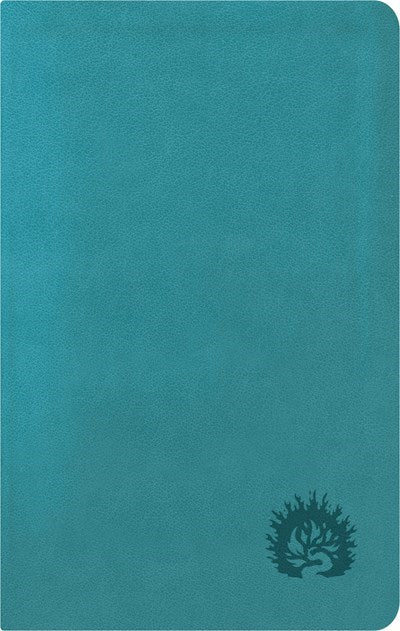 ESV Reformation Study Bible: Condensed Edition-Turquoise Leather-Like