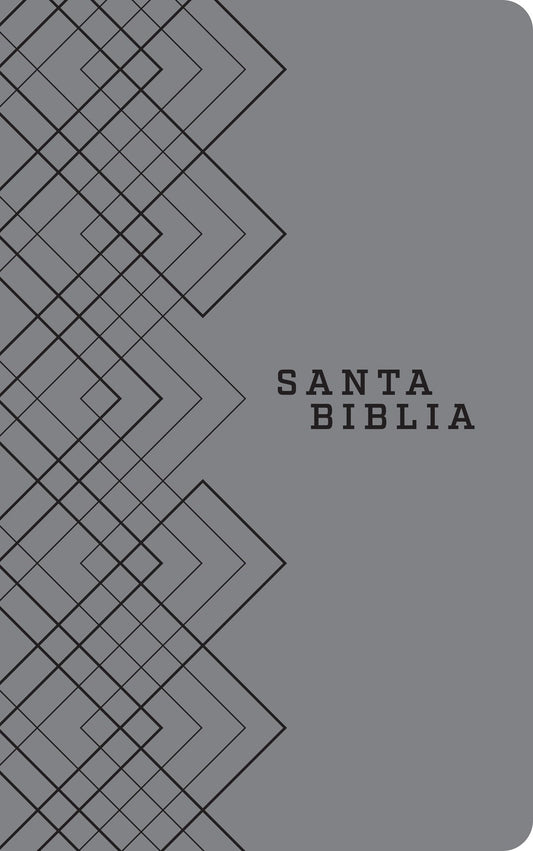 NTV Holy Bible  Agape Edition (Santa Biblia  Edicion Agape)-Gray LeatherLike