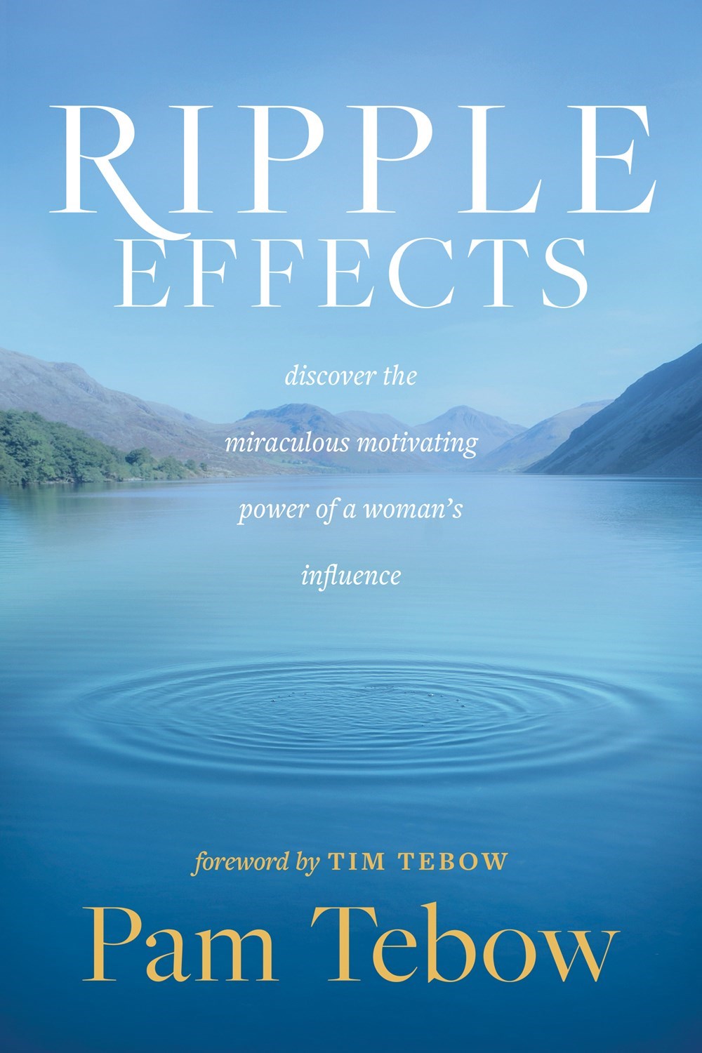 Ripple Effects-Softcover