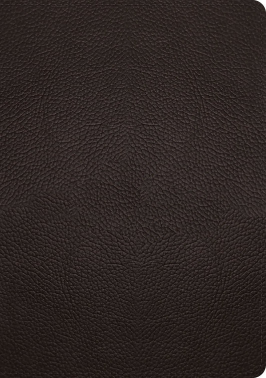 ESV Single Column Journaling Bible/Large Print-Deep Brown Buffalo Leather