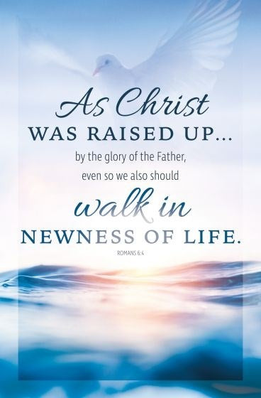 Bulletin-Walk In Newness Of Life (Romans 6:4) (Pack Of 100)