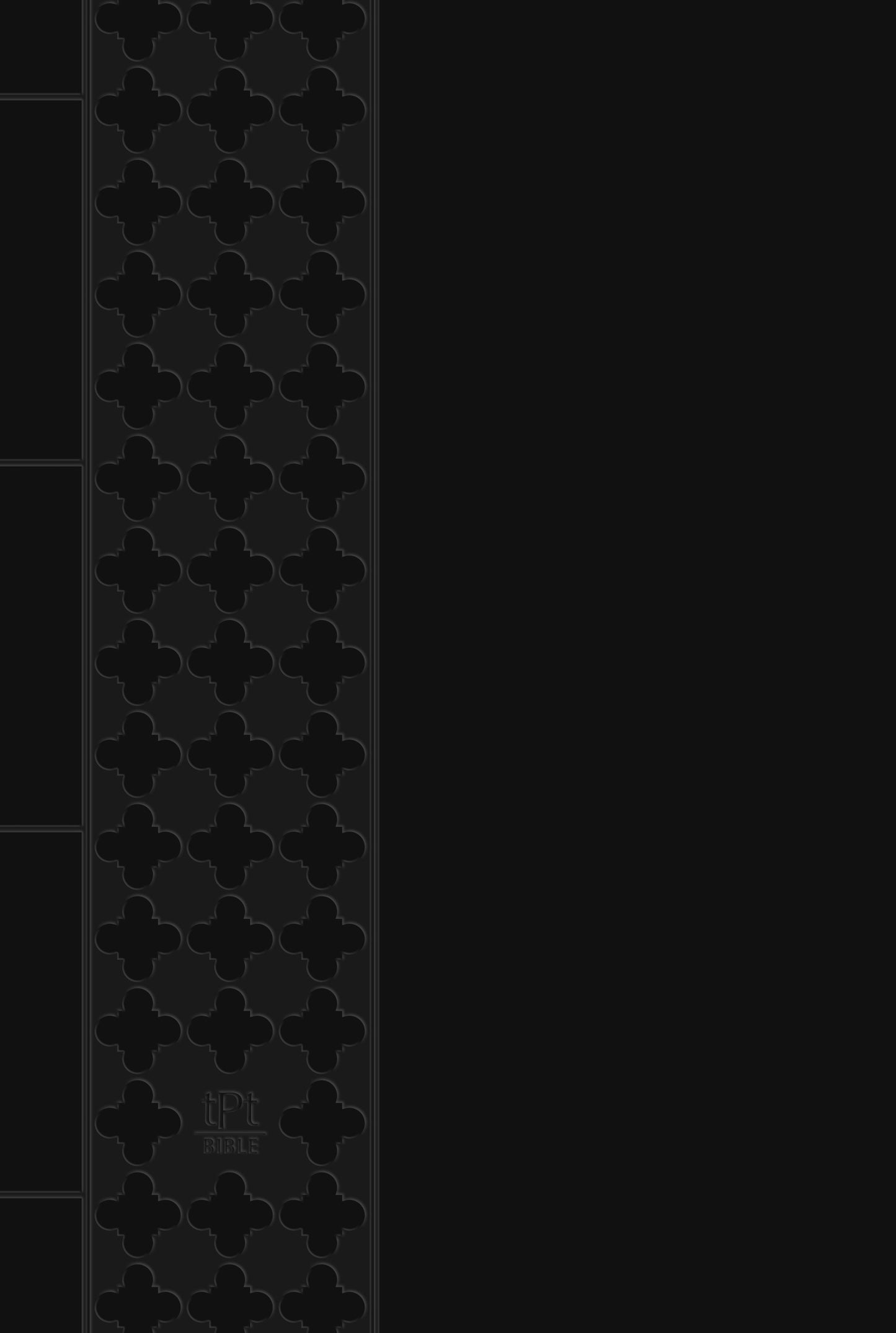 The Passion Translation New Testament w/Psalms  Proverbs & Song Of Songs/Large Print (2020)-Black Imitation Leather