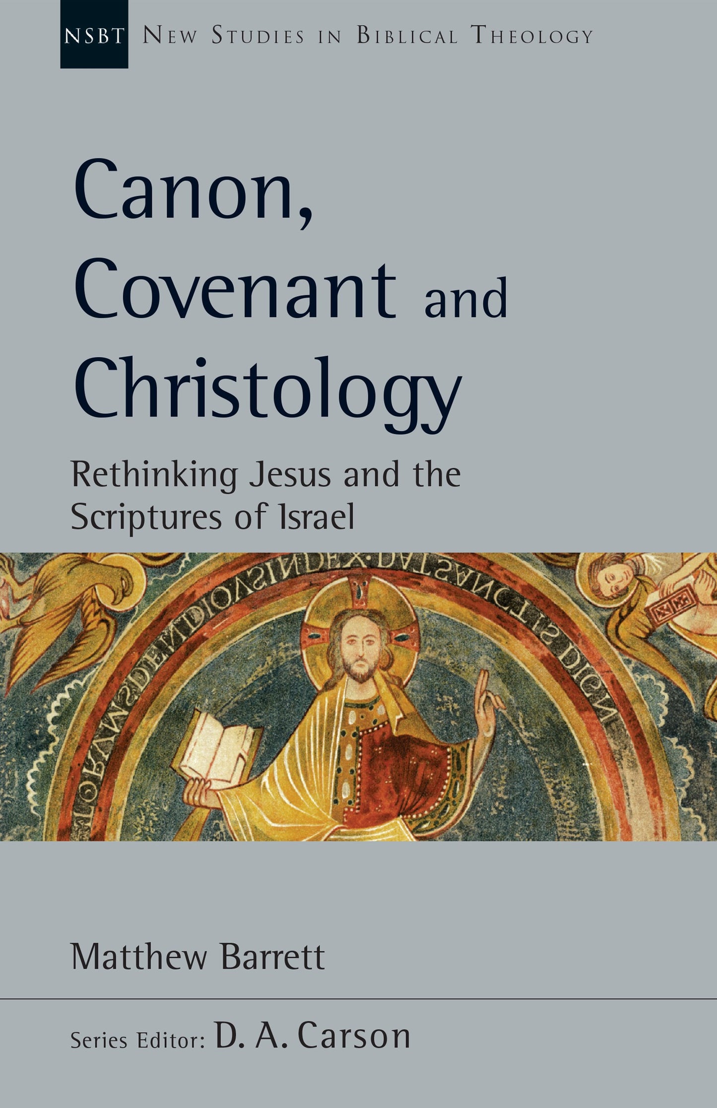Canon  Covenant And Christology (New Studies In Biblical Theology)