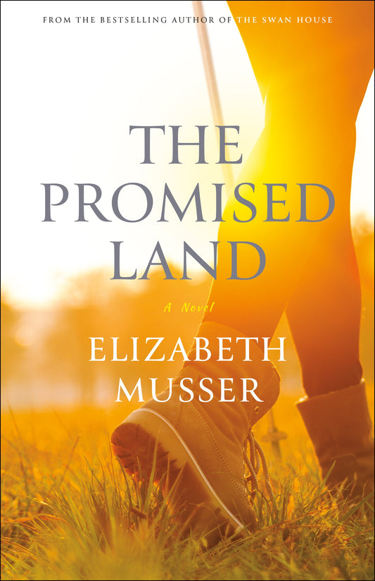 The Promised Land: A Novel
