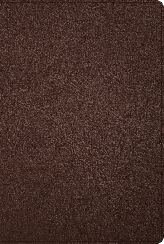KJV Large Print Thinline Bible-Black Premium Leather