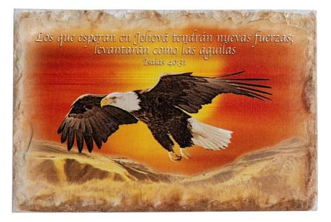 Spanish-Desktop-On Eagles Wings Stone (Isaiah 40:31) In Gift Box (#21144)