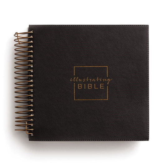 NIV Illustrating Bible-Dark Gray Faux Leather