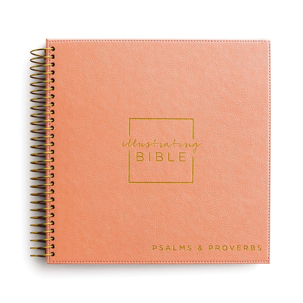 NIV Illustrating Bible: Psalms & Proverbs-Coral Faux Leather