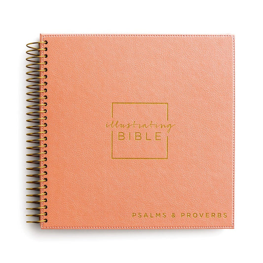 NIV Illustrating Bible: Psalms & Proverbs-Coral Faux Leather