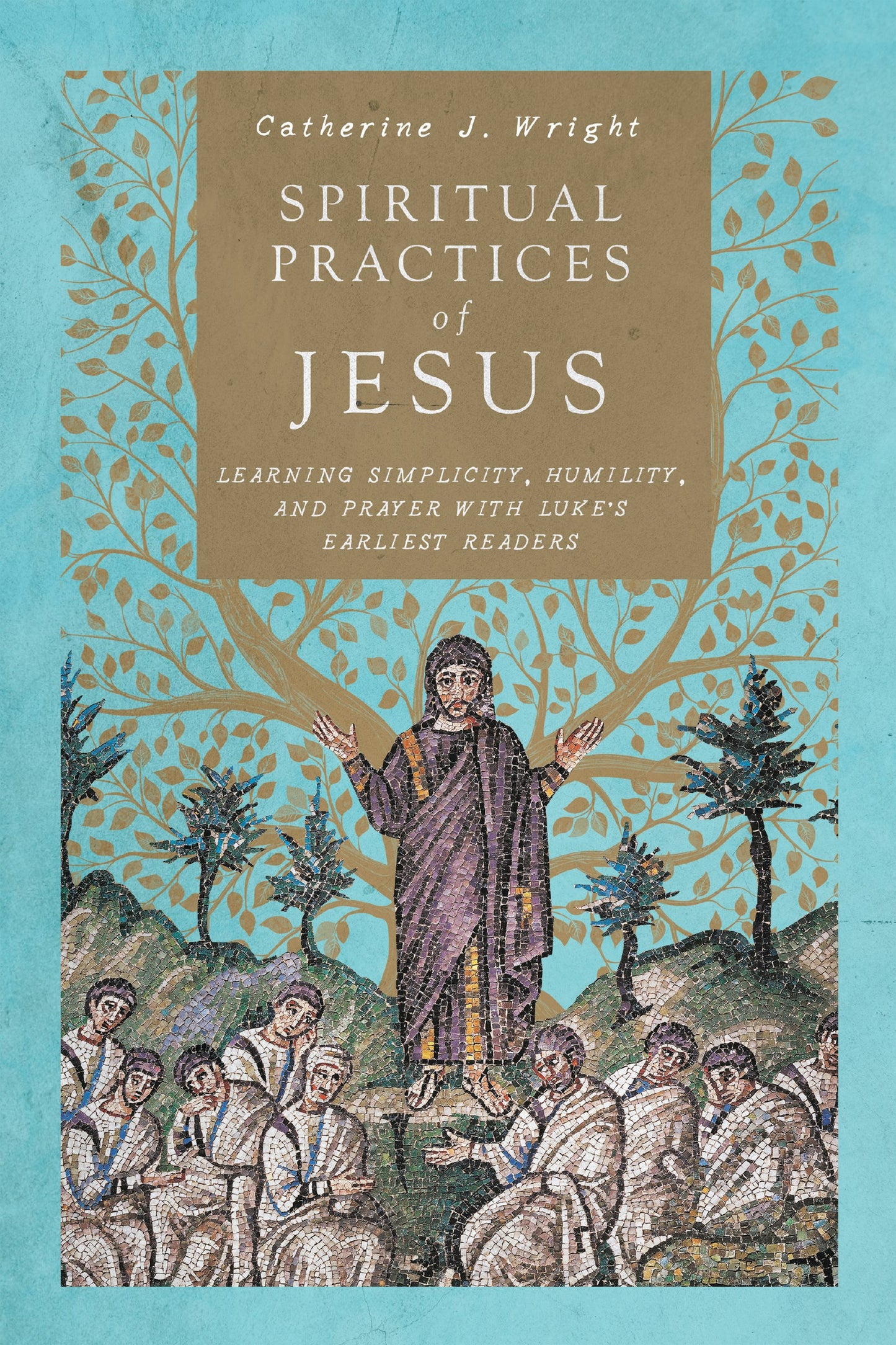 Spiritual Practices Of Jesus