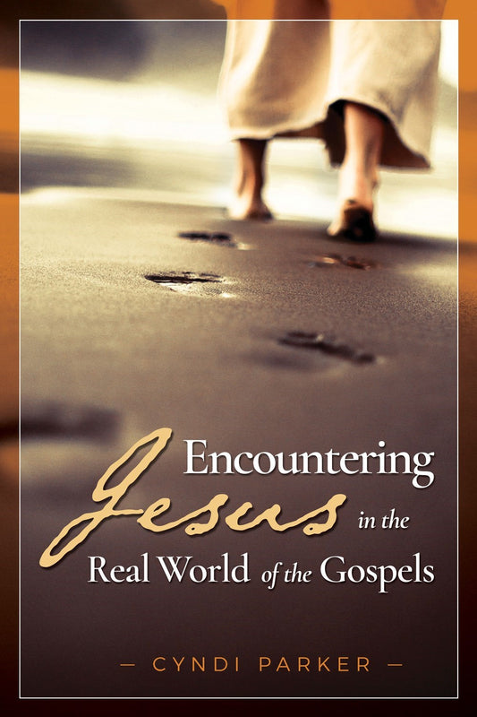 Encountering Jesus In The Real World Of The Gospels