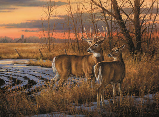 Jigsaw Puzzle-Daybreak (1000 Pieces)