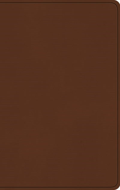 ESV Large Print Value Thinline Bible-Camel TruTone