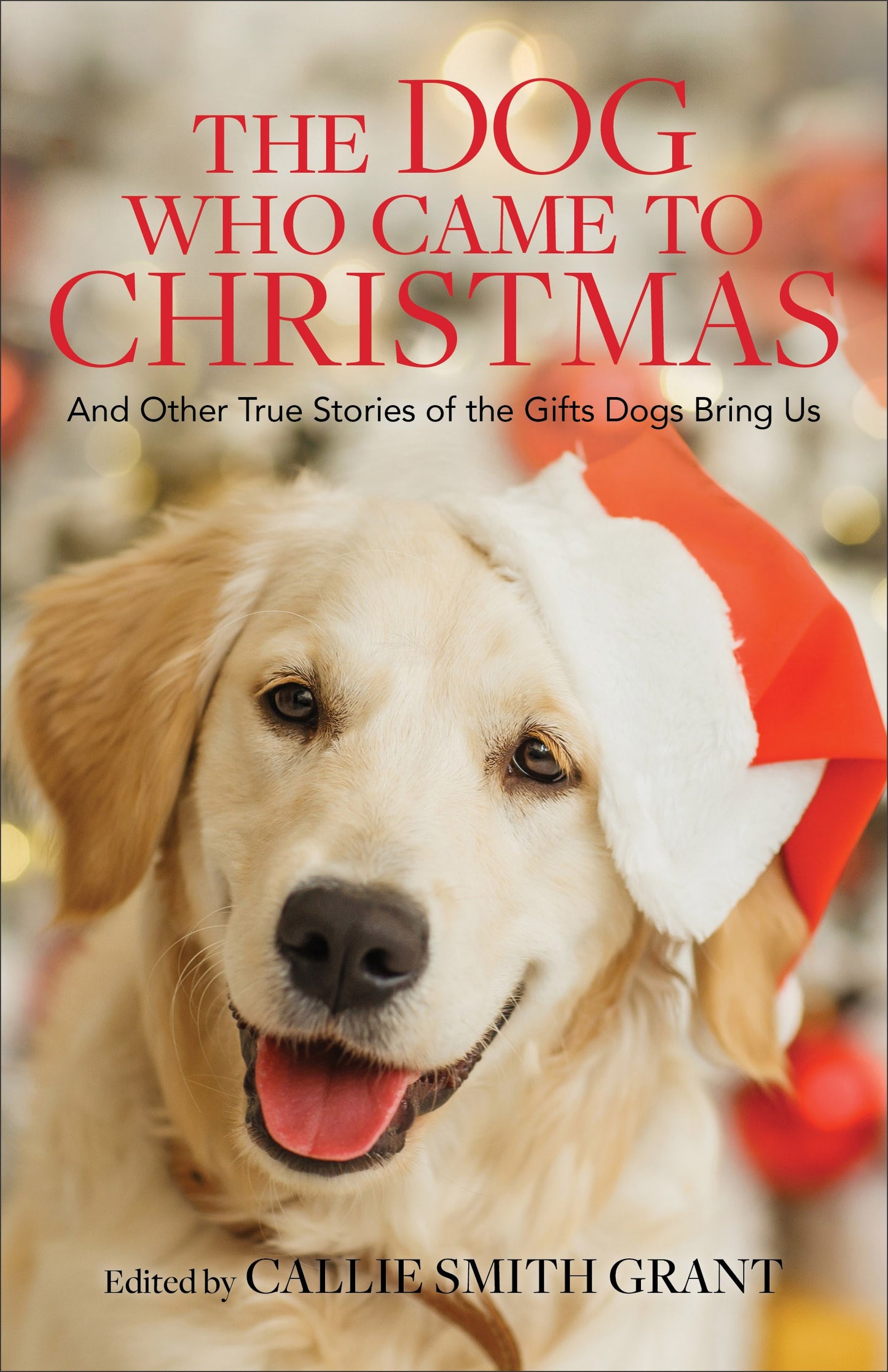 The Dog Who Came To Christmas
