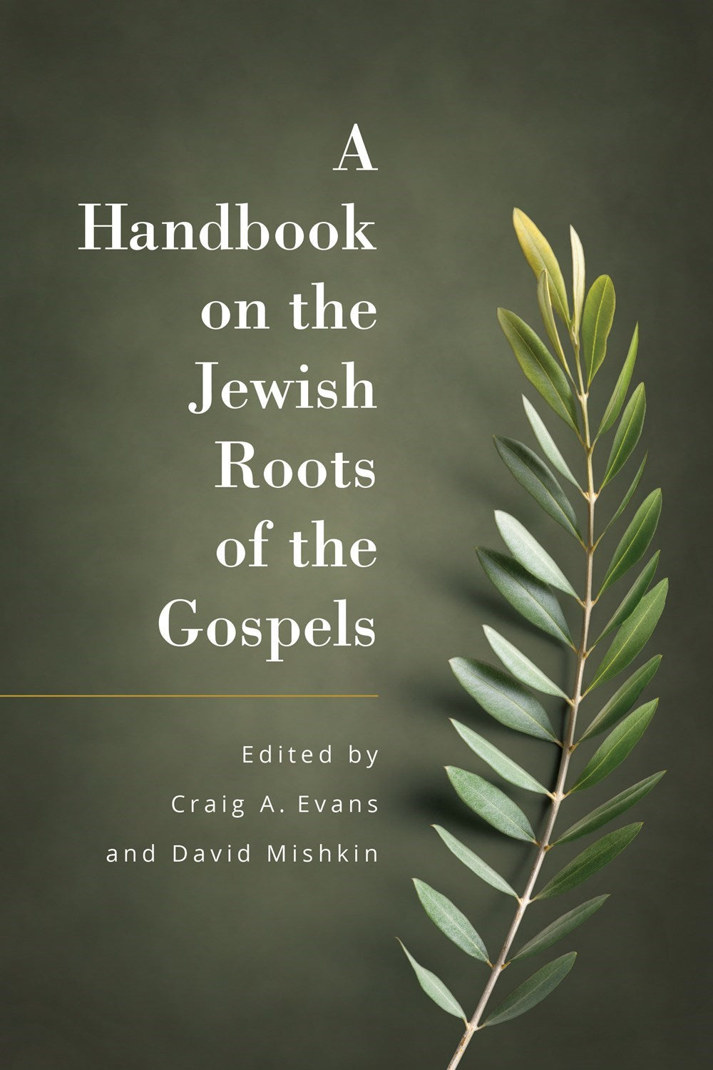 A Handbook Of The Jewish Roots Of The Gospels