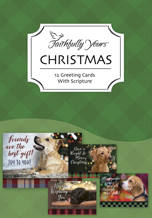 Card-Boxed-Value-The Beauty Of Christmas-Christmas Assorted (Box Of 12)