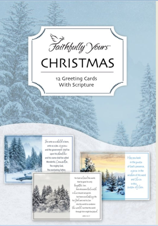 Card-Boxed-Value-Frosty Landscapes-Christmas Assorted (Box Of 12)