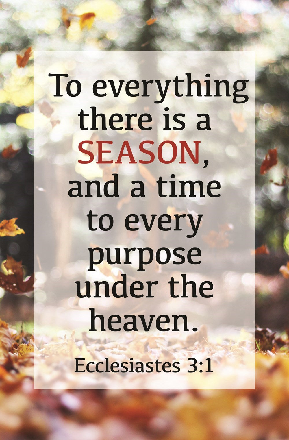 Bulletin-To Everything There Is A Season (Ecclesiastes 3:1) (Pack Of 100)