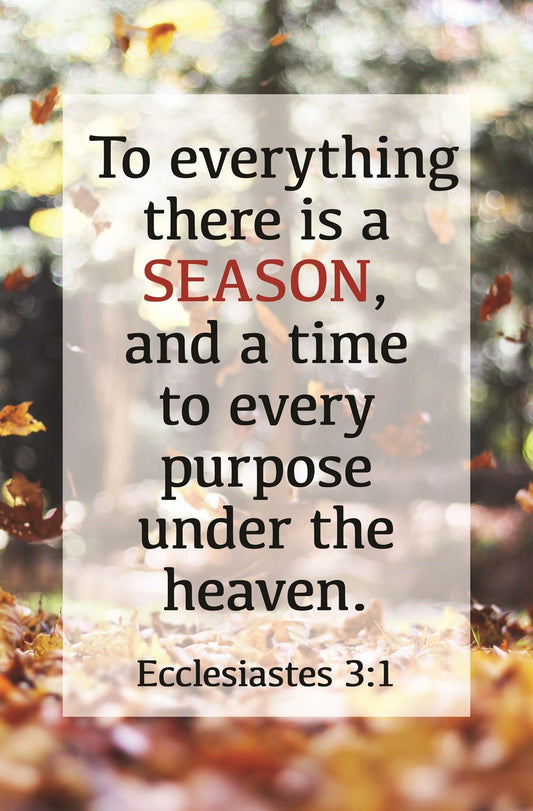 Bulletin-To Everything There Is A Season (Ecclesiastes 3:1) (Pack Of 100)