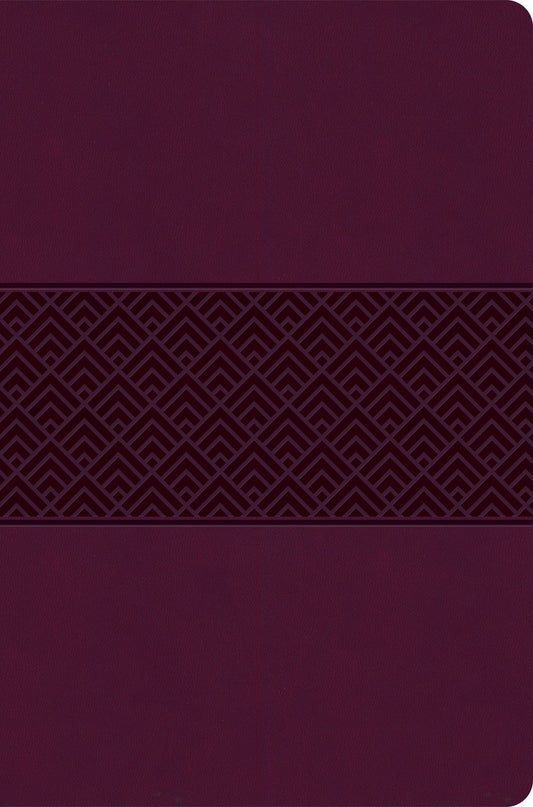 CSB Everyday Study Bible-Wine Burnished Design LeatherTouch