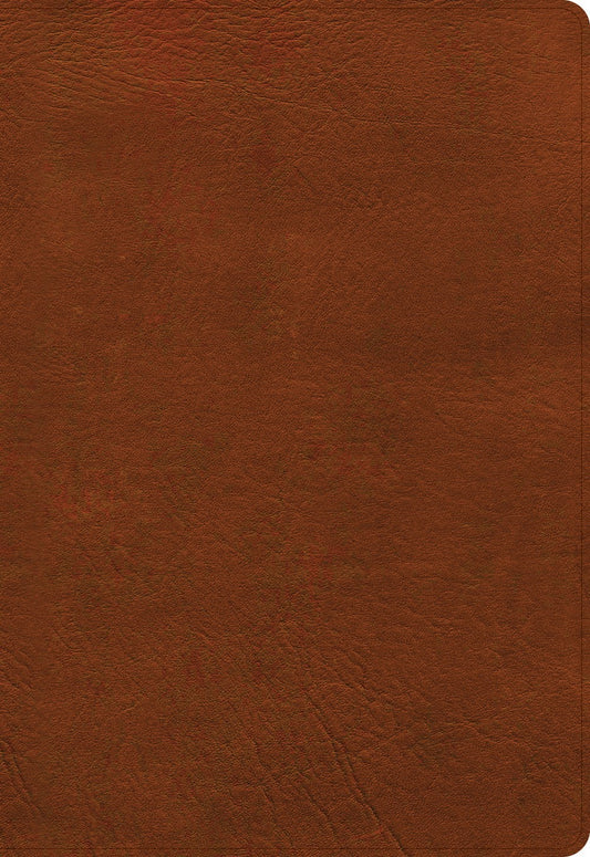NASB 2020 Super Giant Print Reference Bible-Burnt Sienna LeatherTouch