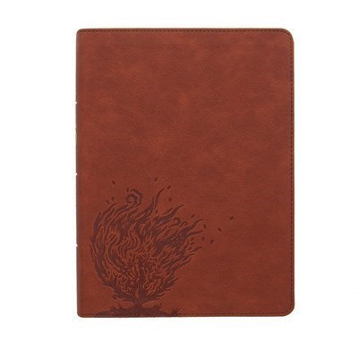CSB Experiencing God Bible-Burnt Sienna LeatherTouch