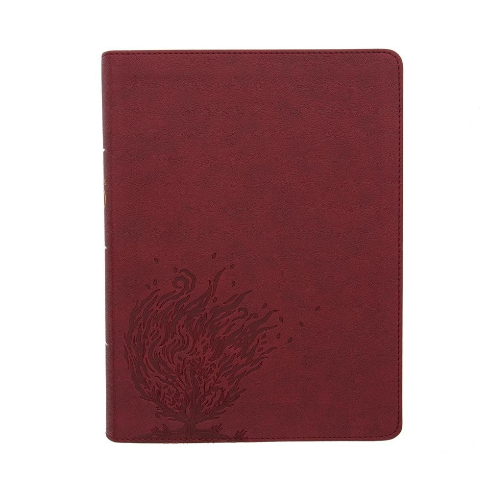 CSB Experiencing God Bible-Burgundy LeatherTouch