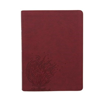 CSB Experiencing God Bible-Burgundy LeatherTouch Indexed