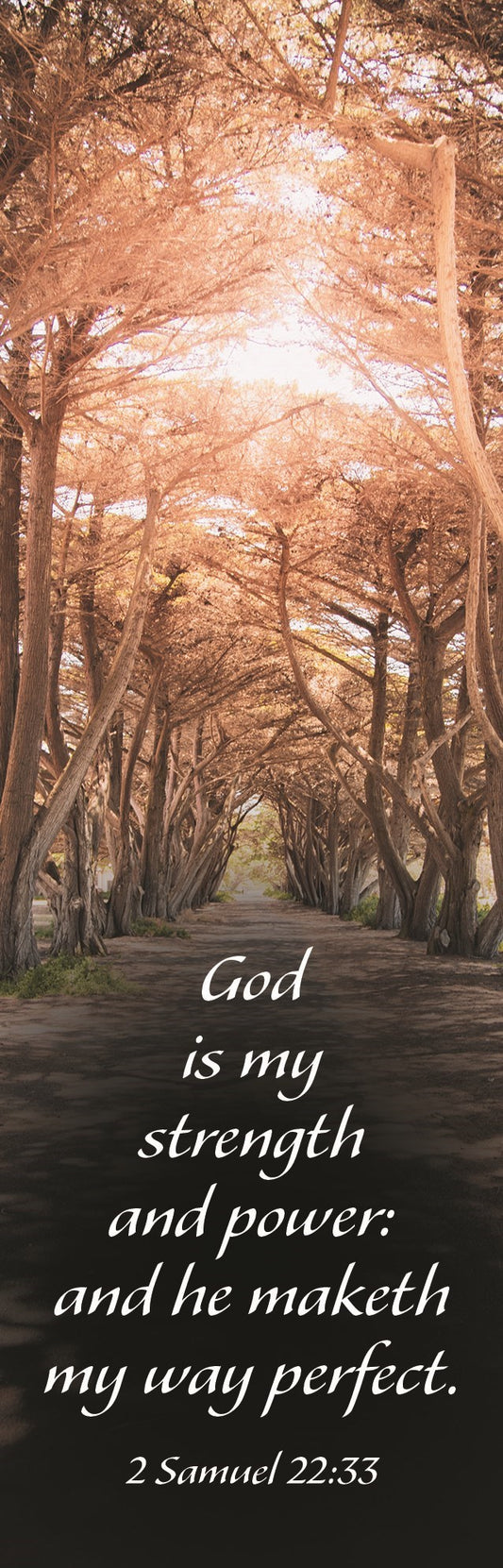 Bookmark-God Is My Strength And Power: And He Maketh My Way Perfect (2 Samuel 22:33) (Pack Of 25)