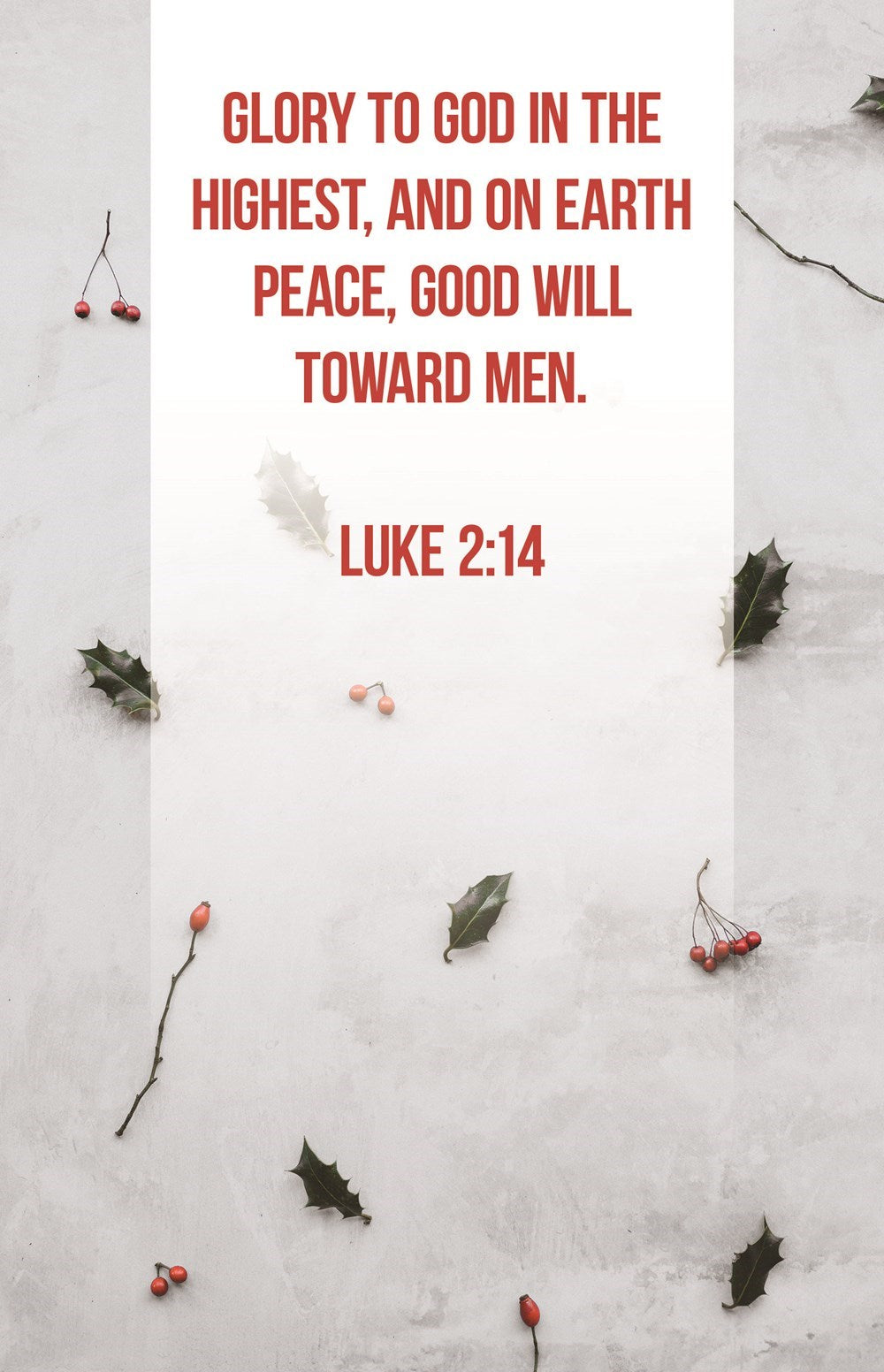 Bulletin-Glory To God In The Highest  Peace  Good Will Toward Men (Luke 2:14) (Pack Of 100)
