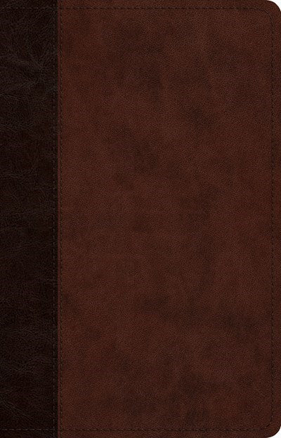 ESV Large Print Thinline Reference Bible-Brown/Walnut Timeless Design Tru Tone