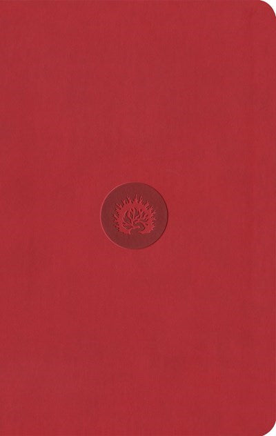 ESV Reformation Study Bible: Student Edition-Red Leather-Like