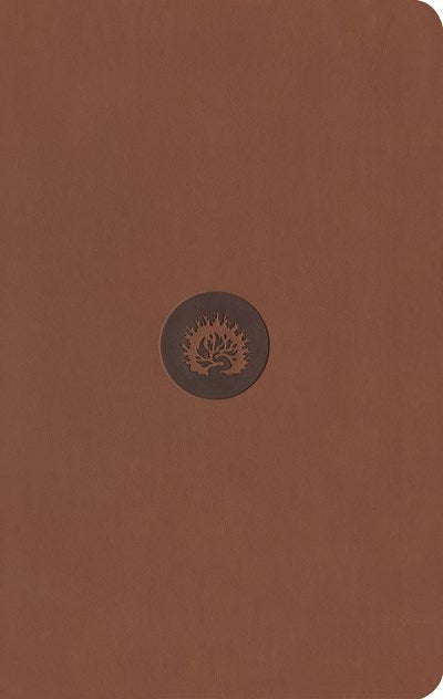 ESV Reformation Study Bible: Student Edition-Brown Leather-Like