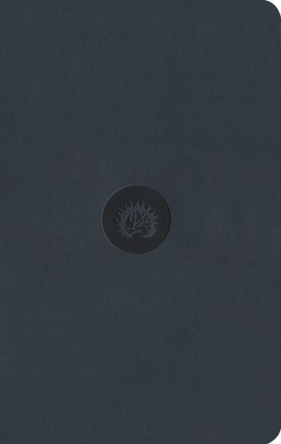 ESV Reformation Study Bible: Student Edition-Navy-Leather-Like