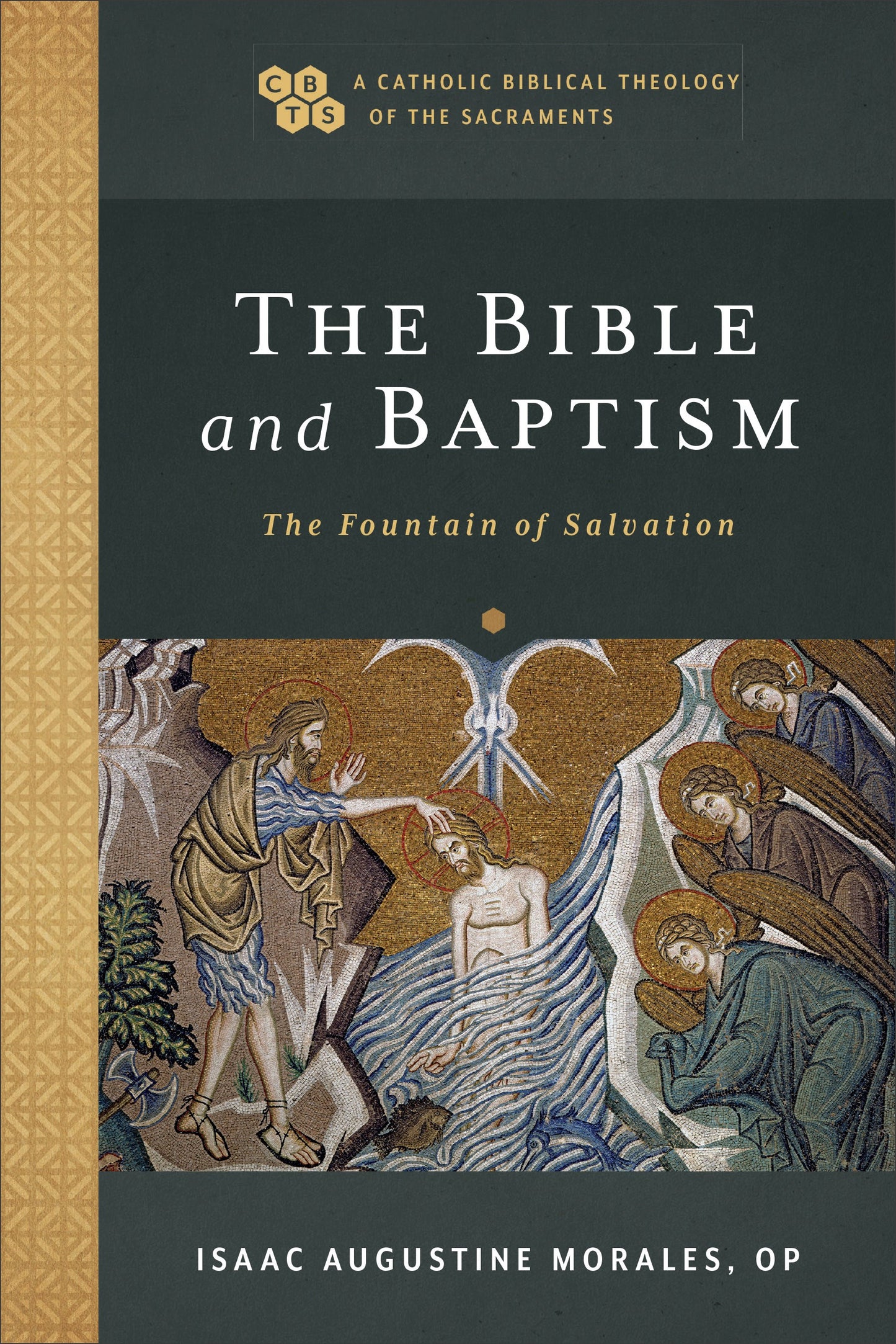 The Bible And Baptism (A Catholic Biblical Theology On The Sacraments)