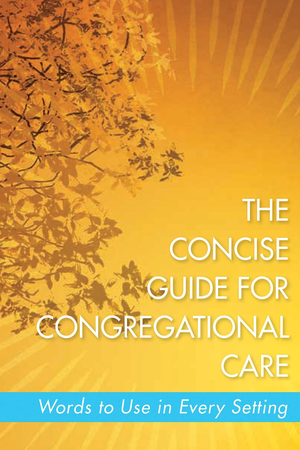 The Concise Guide For Congretational Care